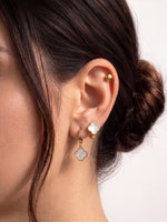 Aldo Clover Earring Set