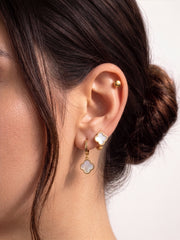 Aldo Clover Earring Set