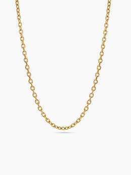 Fenna Link 18K Gold Plated Women's Chain